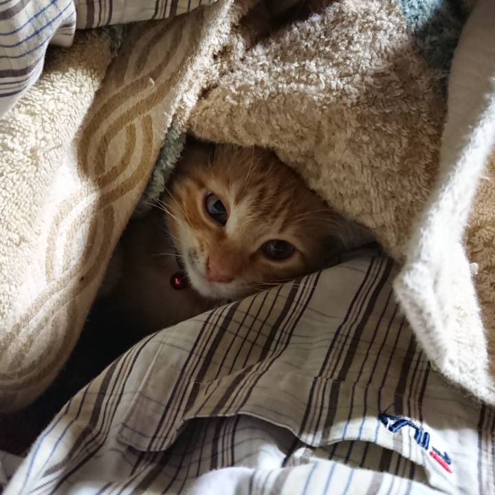 27ec213e 1d85 4683 99e2 f0b3ae50ce40 1632862384800