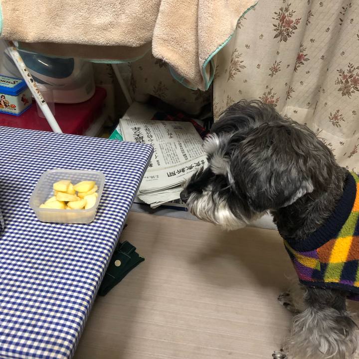 27ec436c f2d8 496f afc4 31a26a6a31b2 1644504290774