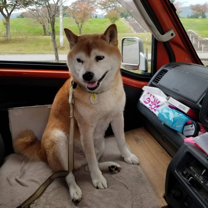 27eca80d 12b4 4606 82f0 61f25a21eb96 1665973200013