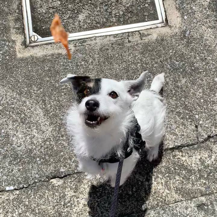 27ecb088 654b 4854 b7d7 1570e4d99530 1716941888694