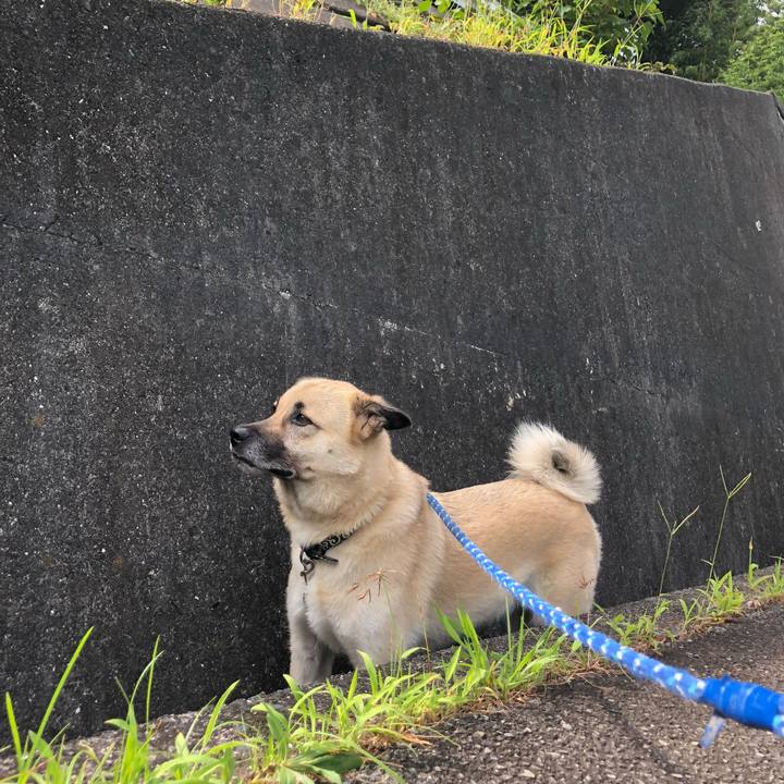 27ecc8e8 e052 4fba a58c a8036fd275ea 1596281814855