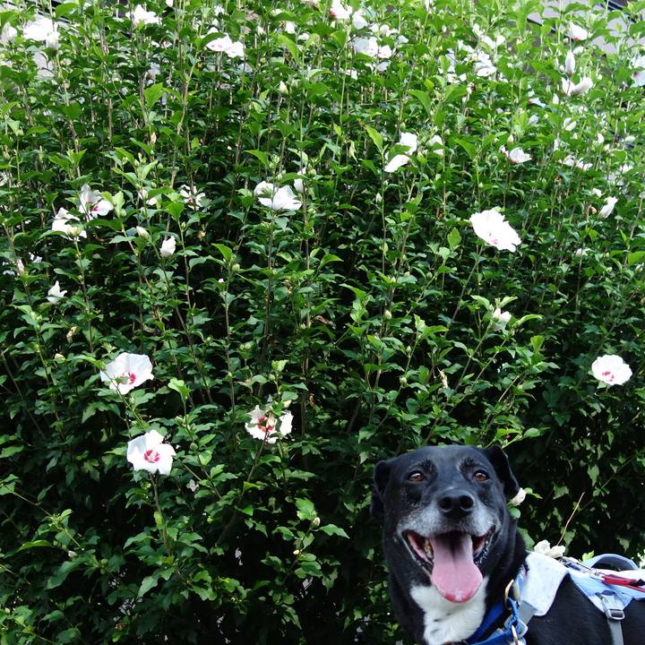 27ece287 ee36 482a b7a5 b38c75d3e416 1721780851697