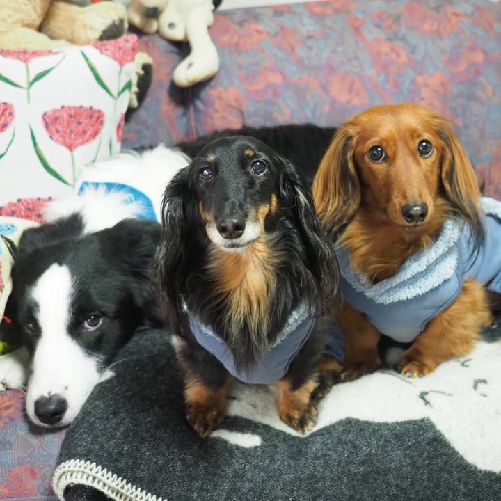 27ed3dc3 7eba 4ad5 b51f 760500099268 1768054311230