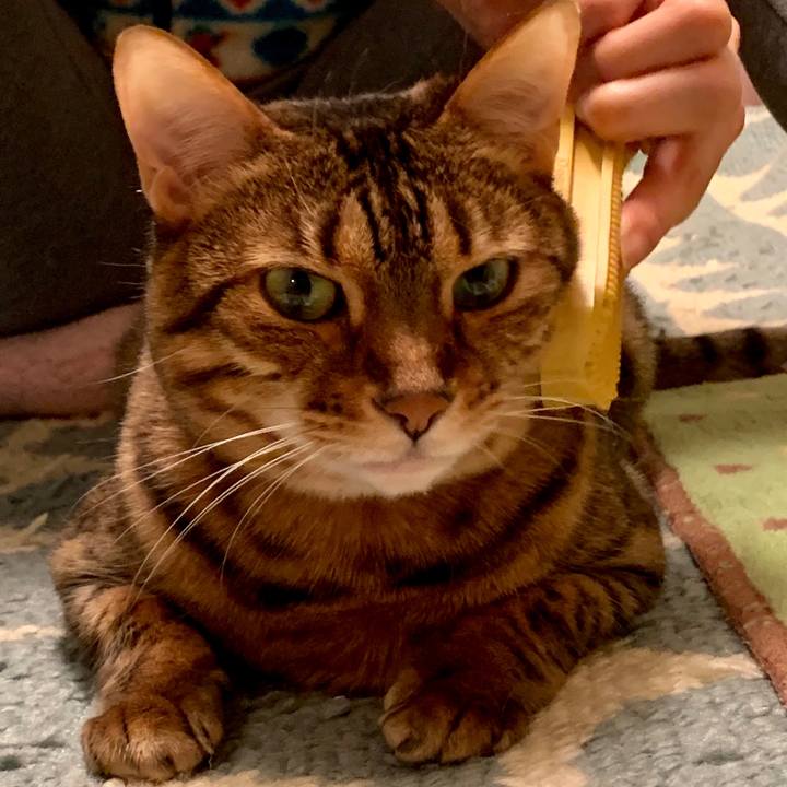 27ed6409 dd39 4fe6 b982 38910de7f862 1546811539173