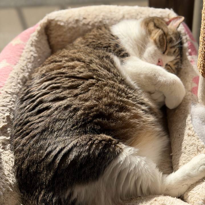 27ed85e2 5840 48f4 9fda 42b9cd0d9361 1764490673930