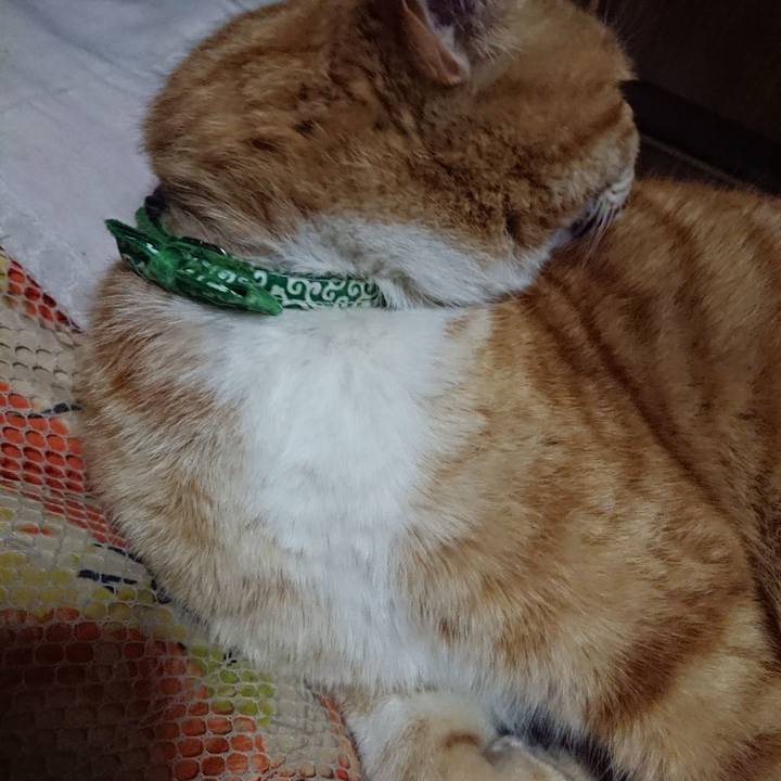 27eda250 4854 4177 bb22 33089ea22cf6 1584705815823