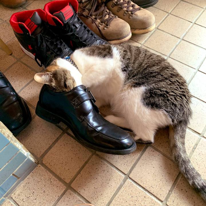 27eda345 9b9b 47f7 8979 452427937ba9 1556842251432