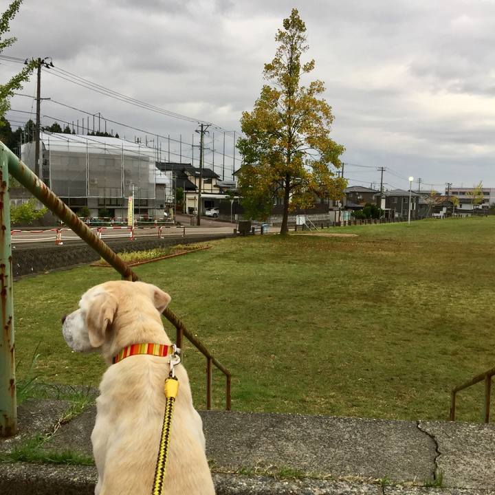 27edb373 ef9e 4c53 8817 8b38eb7a756e 1508028242050