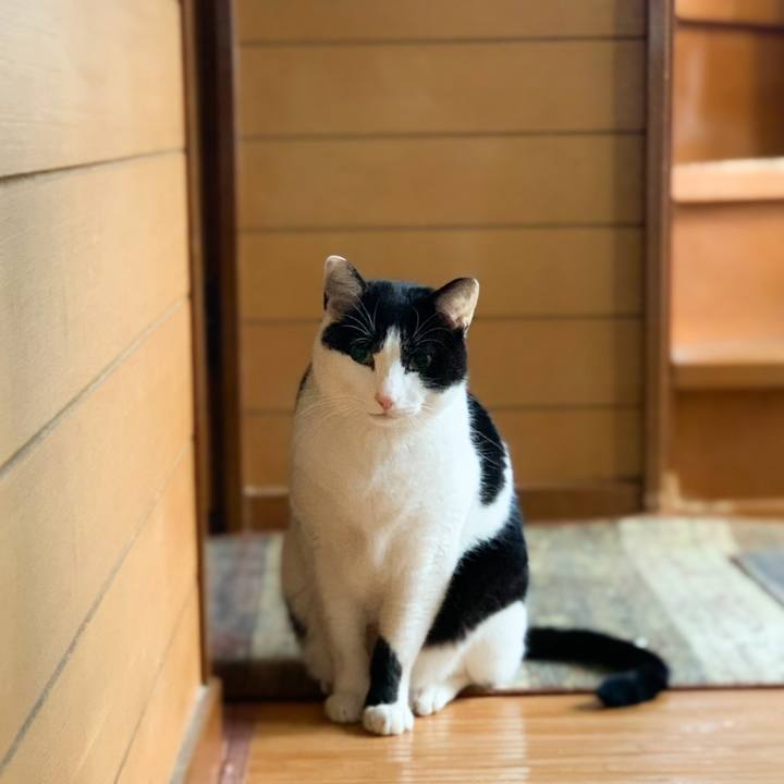 27edd6fb d0c4 4533 a5ee d53f36b33bb0 1580434755587