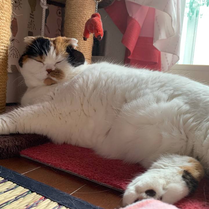 27ee42e5 e645 4ed5 8ce5 2a212adf6389 1563225969494