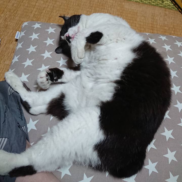 27ee98f8 f168 4a09 9c06 cb9d7583de9e 1654772434516