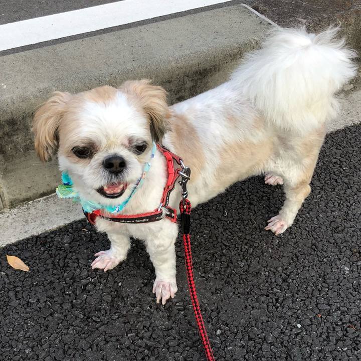 27ef0565 0819 453d b6e1 6ab672520c80 1597613936298