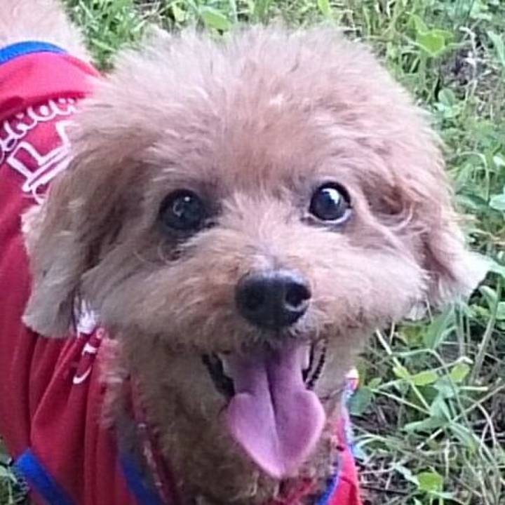 27ef0b2b dd84 4163 90a1 6b9766593346 1512337494036