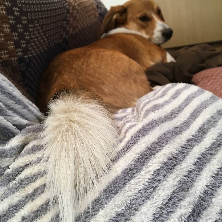 27ef0bcb 5f01 4527 a489 83ede23364ab 1613525275990