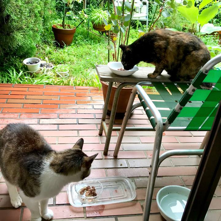 27ef57b7 d872 41d0 808a f44b47c6ff42 1530878720917