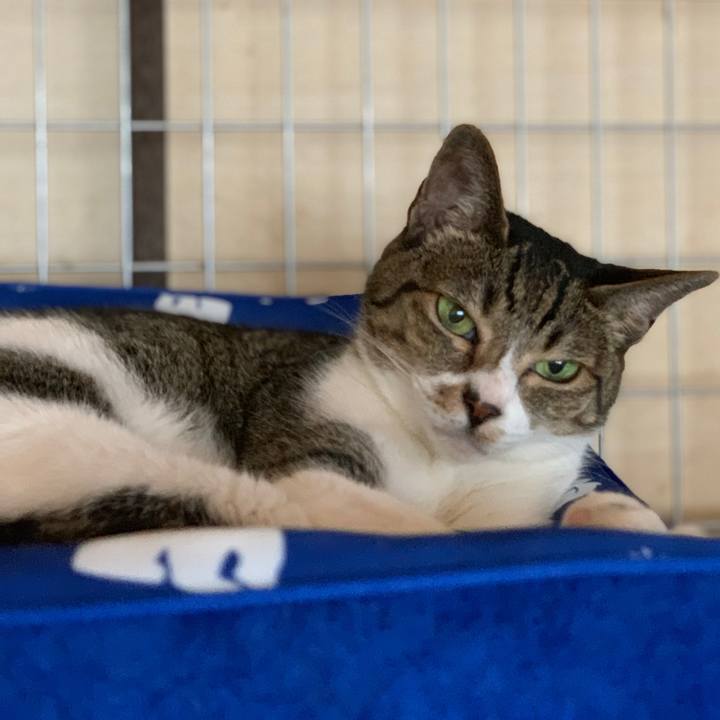 27ef852b ec6f 410c a92b 0deeebddb403 1564276308779