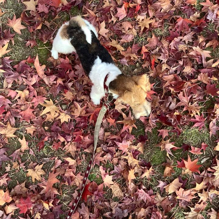 27efd3b5 a845 4e6d ab23 d7b1d94ba995 1763207922038