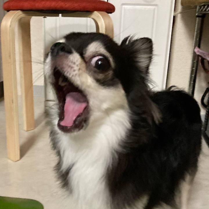 27efd8a4 8013 4f81 8399 68f6d28e684f 1659799051423