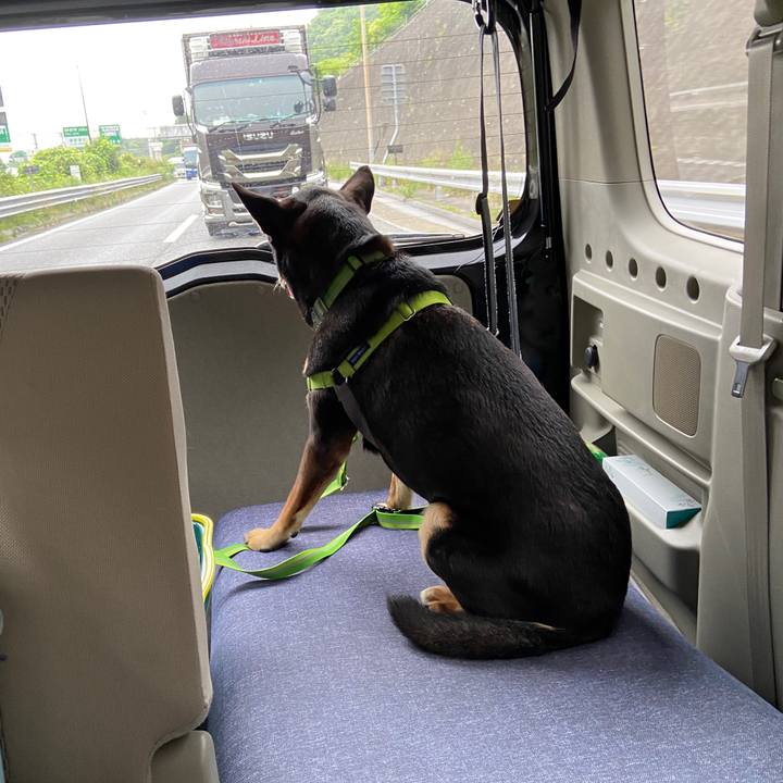 27efef84 13fe 490b a141 71f3ffb51a90 1623499197907