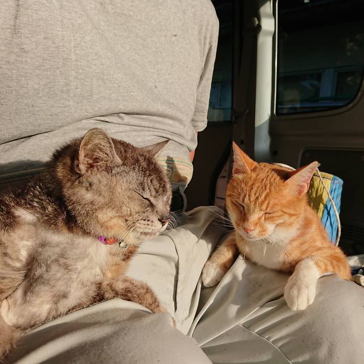 27eff3d2 5169 42be 9358 175354ec510c 1595539886229