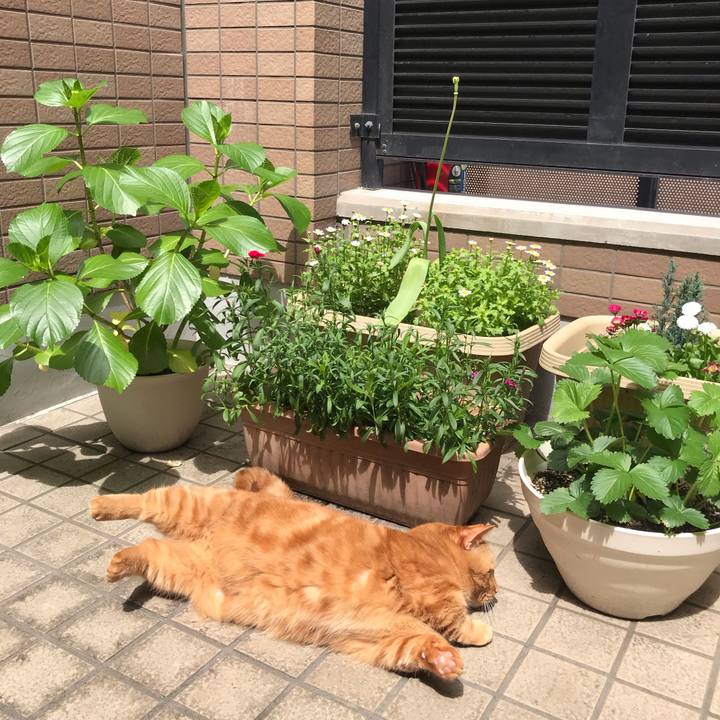 27eff638 a2b6 4f62 956f c91616b9e832 1556850888842