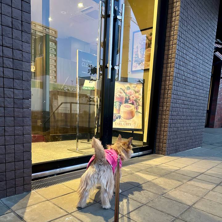 27f09d86 9033 4c9e 9e52 a6b205a72a80 1736632002419