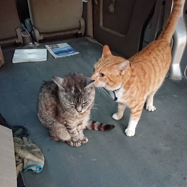 27f0acff e1d4 43d9 a2a2 0e717649084a 1568233962566