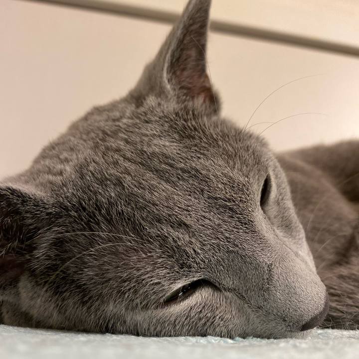 27f0ca14 9ede 46b8 beba 04175fca8354 1625723873308