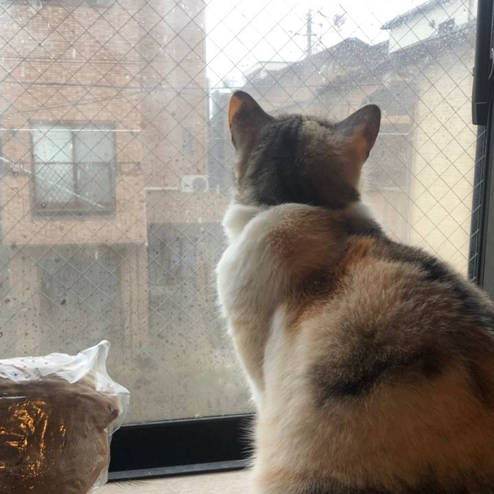 27f0da7f 9bc2 4fd8 a19a 097fca45f2b8 1584247234059