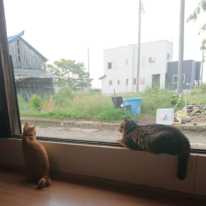 27f11a33 6e47 4697 819f fcb4b9caf123 1663103754404