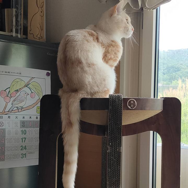 27f11bea 19d3 47d3 b8c2 8a0b5416b0da 1684051853909