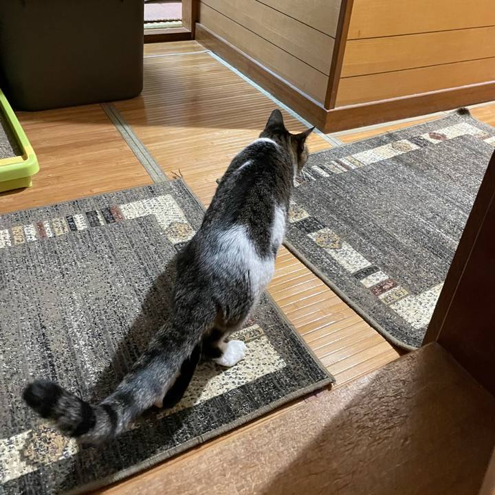 27f136e7 975e 4a2e 88cd 5b9a3cb4cdd7 1643595381529