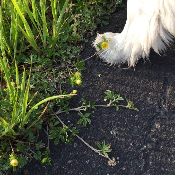 27f172a3 2357 40e2 bfc8 87f213bea029 1586301063597