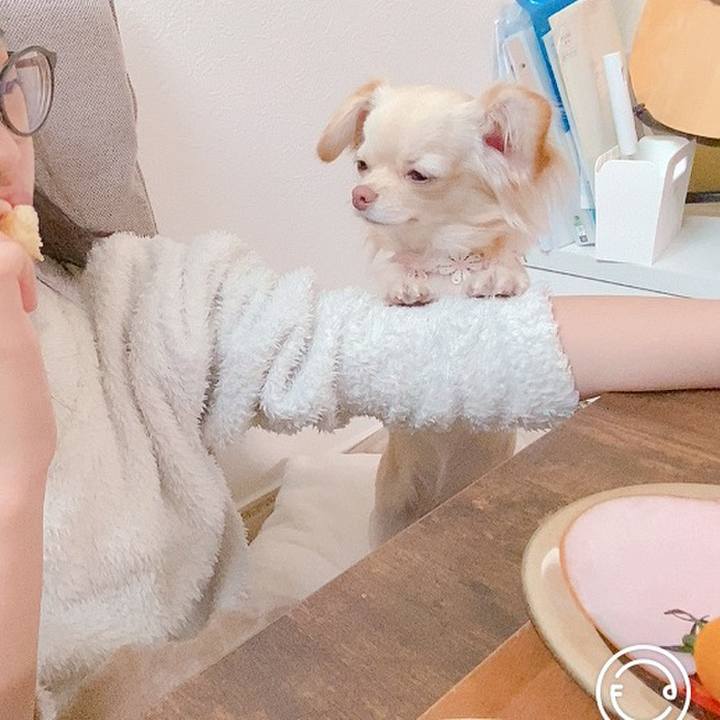 27f17c35 7e82 4b9a 9f9e b9c62e6382e0 1615848688574