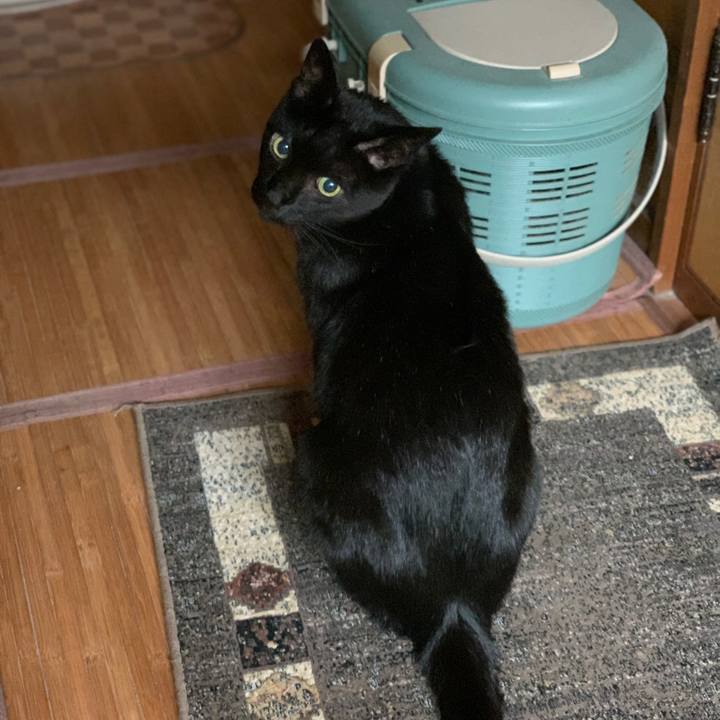 27f1a0cf 7553 4181 aff7 dab64bd56199 1600478216574