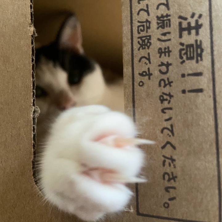 27f1b89f 3cf8 4e23 80b2 80e5e1c8b1eb 1595560564161