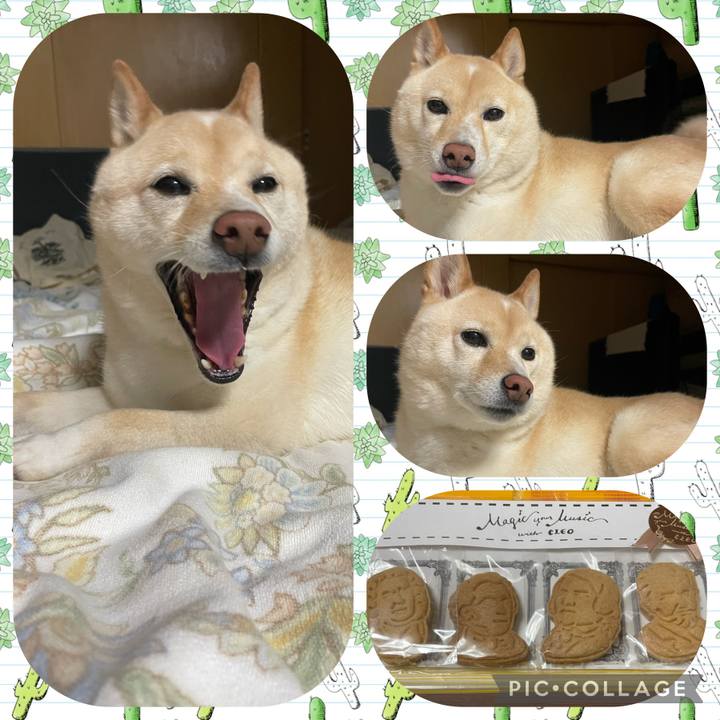 27f1f02d 9cd1 43bf a87a 50974fe4a438 1686918751475