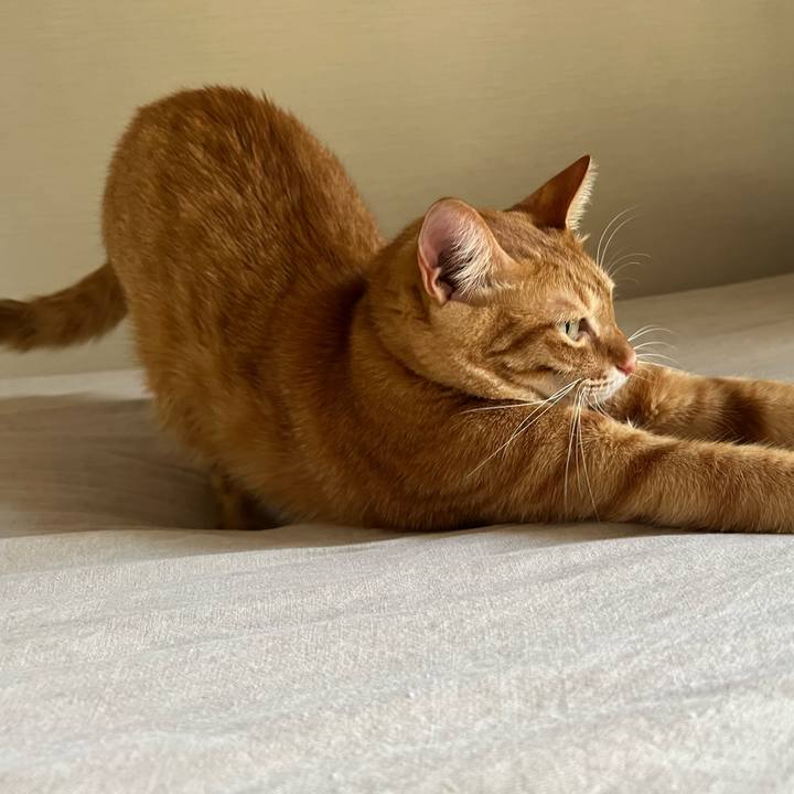 27f2010e d1ac 451d a334 c45e71a7ecbe 1691538335753