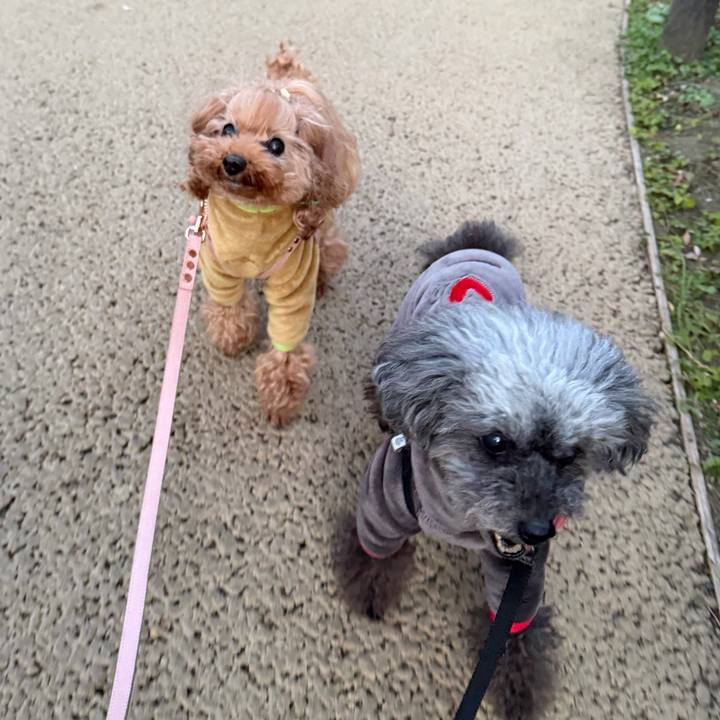 27f22f9a da25 47e1 b24f 43381968b5d2 1770163508553