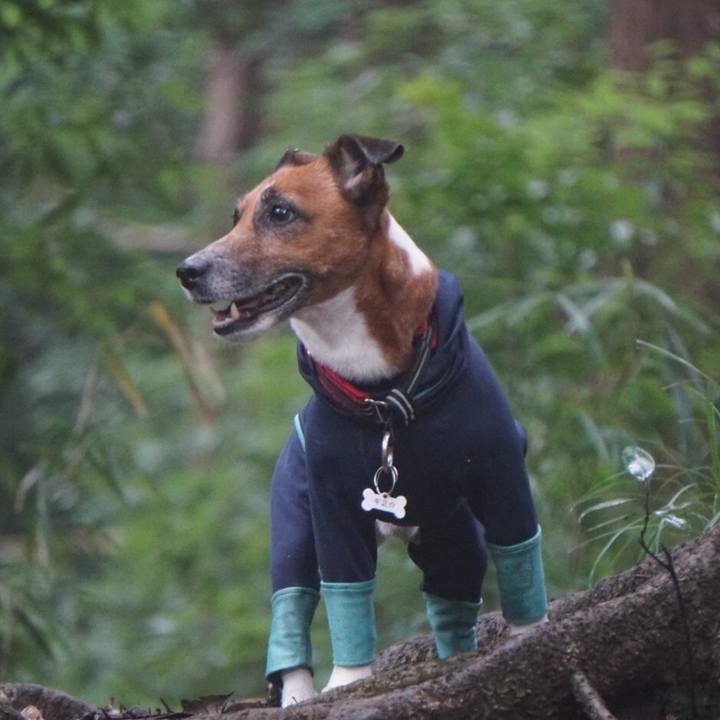 27f26762 8b28 4b7c ab10 33f6e8c56c87 1563836472937