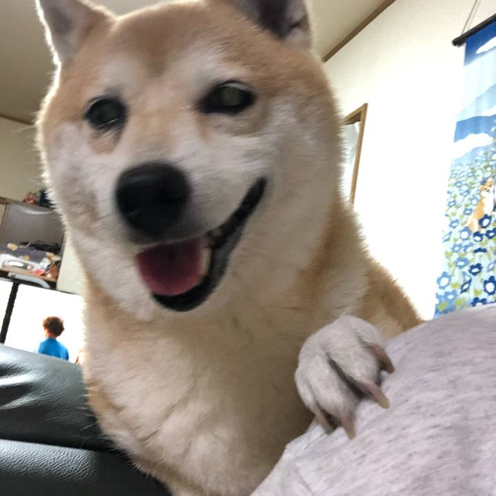 27f28b86 1c0b 4562 abb0 3058269ef856 1595303790826