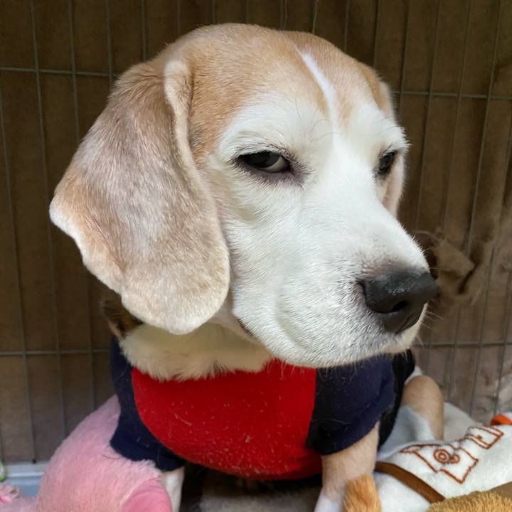 27f2af2d f667 48ea 84d2 dc8f6b002ede 1578540896355