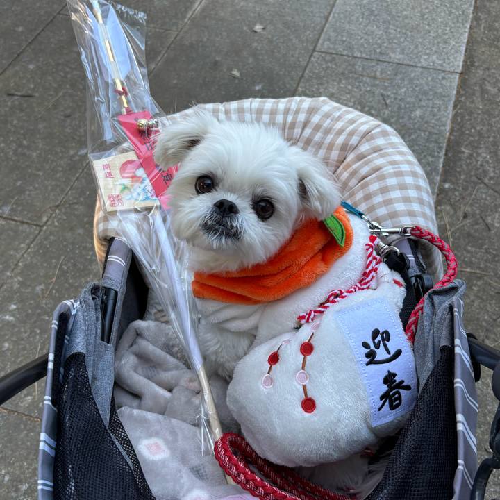 27f2c58f f7f9 4897 be60 2858b101e4be 1735904588958