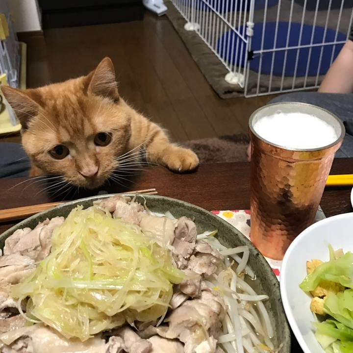 27f2f161 b990 48ed 9a99 dd68c29622aa 1521373845064