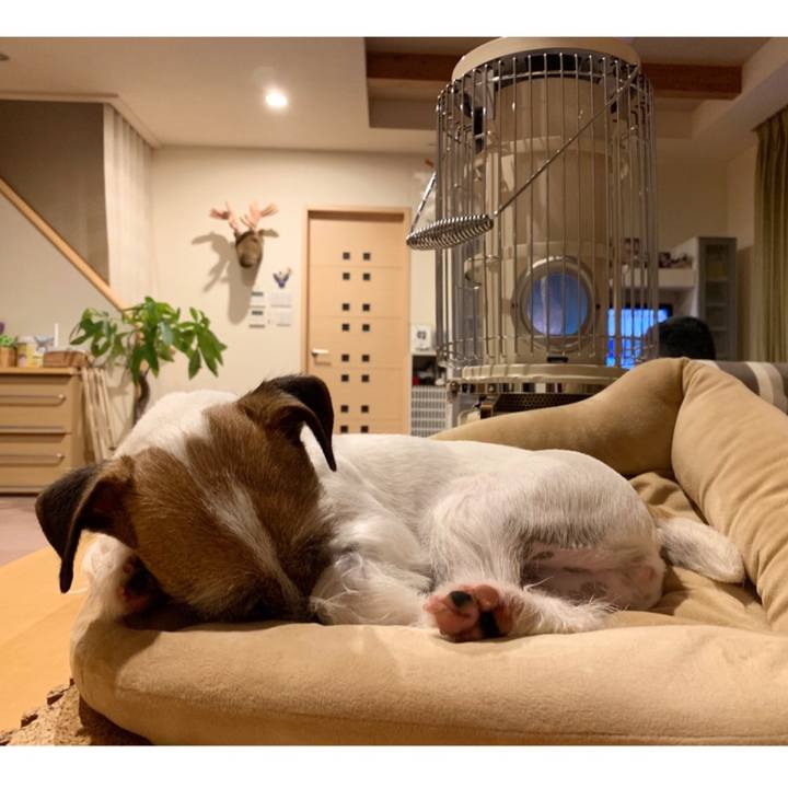 27f2f23f 2b14 4f5c a1e9 fa318f6f824c 1586180776617