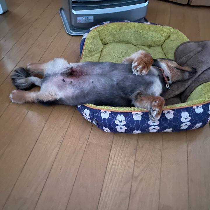 27f313bc 2817 4ac6 ab60 e87bfc0f4f73 1656703178767