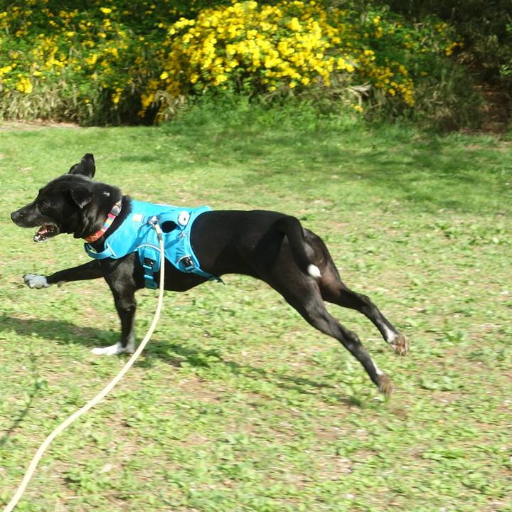 27f32e85 5984 4f72 bef4 c1b79f94dd17 1617497792597