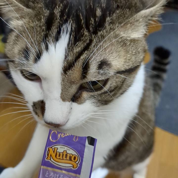 27f345cb ac84 4361 b7f6 04cf614830ad 1672236984006