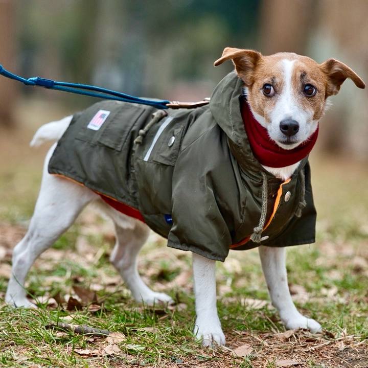 27f362ef 5ffc 46c8 a3db 052921db7694 1737349228946