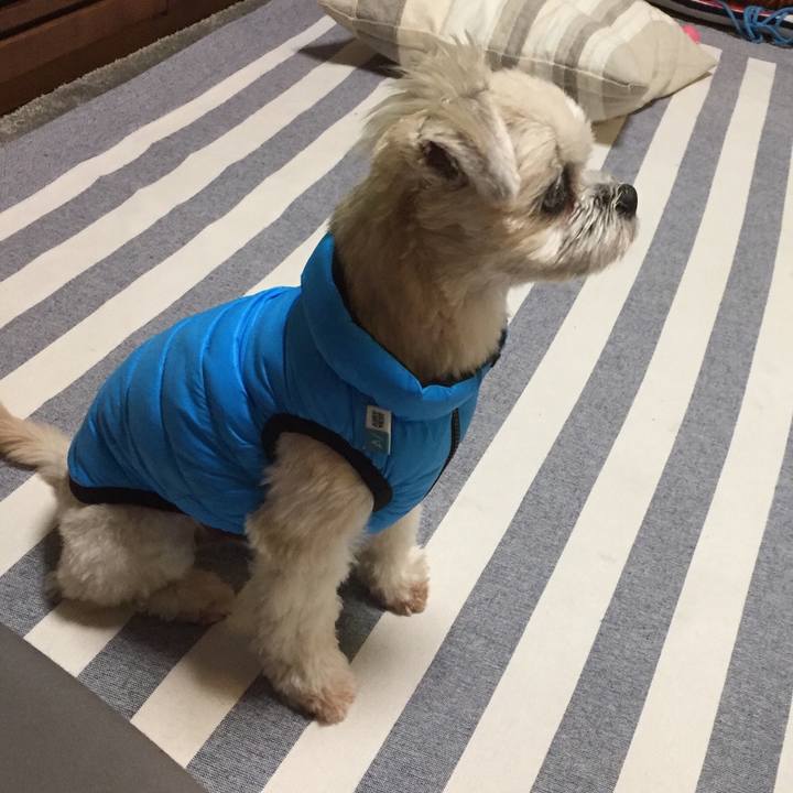 27f3a170 301e 40e7 9800 c9faac7e30cf 1539560642236